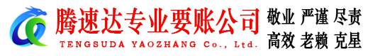 龙海收账公司